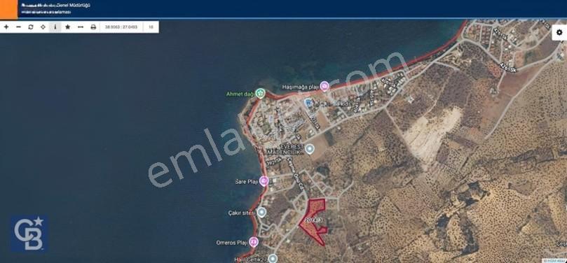 Cb Odak'tan Şakranda İmar Sınırında 1832 M2 Zeytinli Tarla — fotoğraf 3