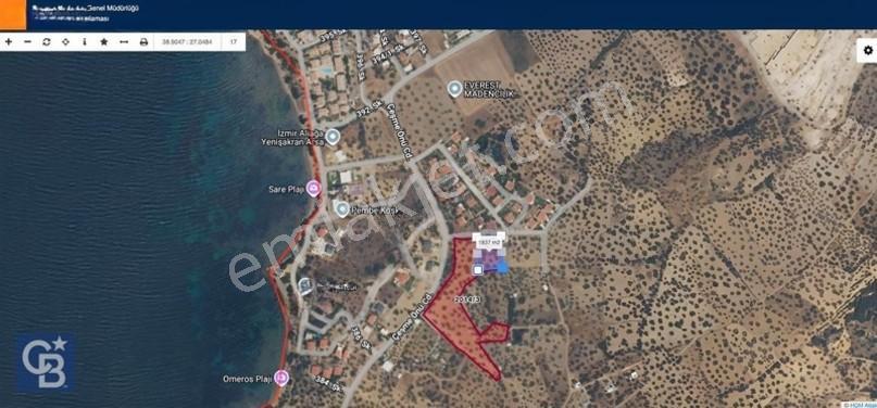 Cb Odak'tan Şakranda İmar Sınırında 1832 M2 Zeytinli Tarla — fotoğraf 4