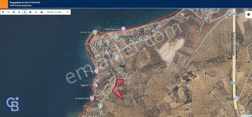 Cb Odak'tan Şakranda İmar Sınırında 1832 M2 Zeytinli Tarla — fotoğraf 5