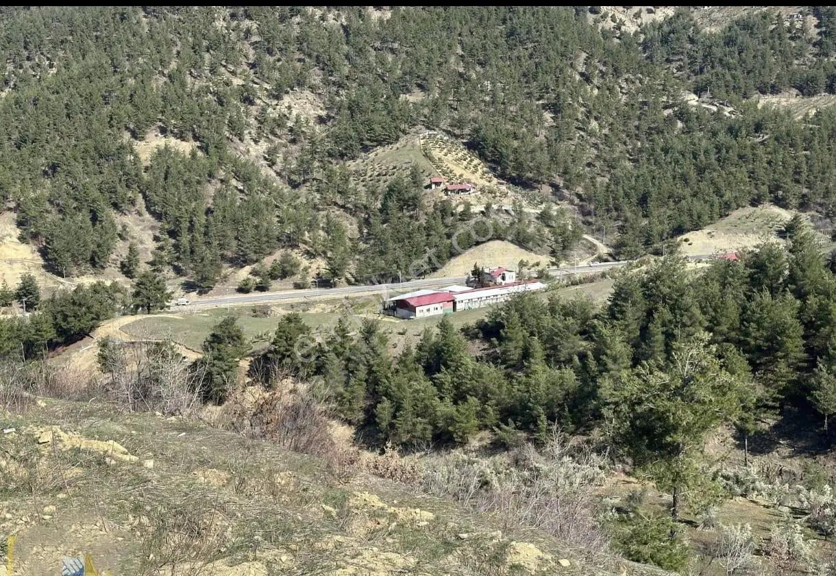 Andırın Yol Ayrımı Orucun Çeşmesi Civarı — fotoğraf 5