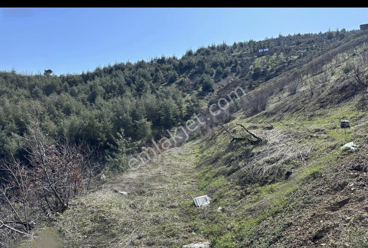 Andırın Yol Ayrımı Orucun Çeşmesi Civarı — fotoğraf 8