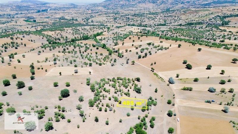 Bahçeni Kurmak İçin Büyük Arazilere Gerek Yok! Mehmetali Mh. — fotoğraf 3