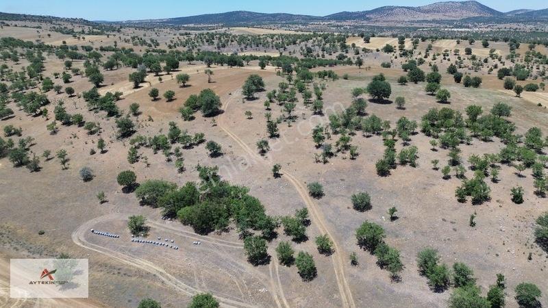 Bahçeni Kurmak İçin Büyük Arazilere Gerek Yok! Mehmetali Mh. — fotoğraf 6
