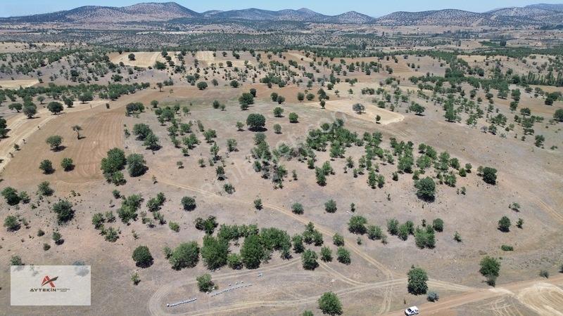 Bahçeni Kurmak İçin Büyük Arazilere Gerek Yok! Mehmetali Mh. — fotoğraf 7
