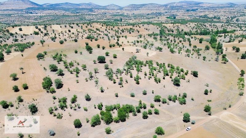 Bahçeni Kurmak İçin Büyük Arazilere Gerek Yok! Mehmetali Mh. — fotoğraf 8