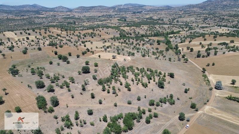 Bahçeni Kurmak İçin Büyük Arazilere Gerek Yok! Mehmetali Mh. — fotoğraf 9