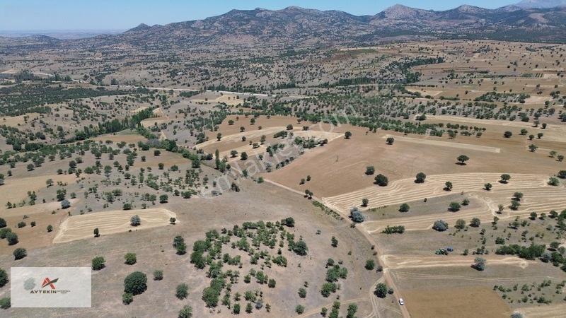 Bahçeni Kurmak İçin Büyük Arazilere Gerek Yok! Mehmetali Mh. — fotoğraf 10
