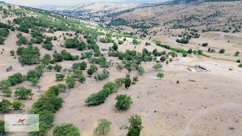 Herkesin Tarlası Olur, Ama Her Tarlanın Baraj Manzarası Olmaz! — fotoğraf 10