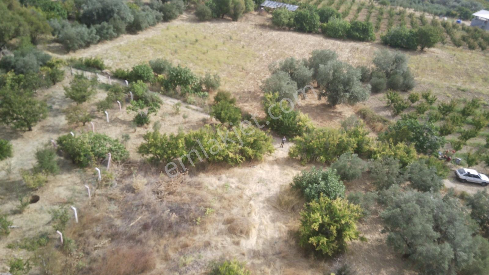 Manisa Şehzadeler Sancaklı Bozköyde Kaçırılmayacak Fırsat! — fotoğraf 5