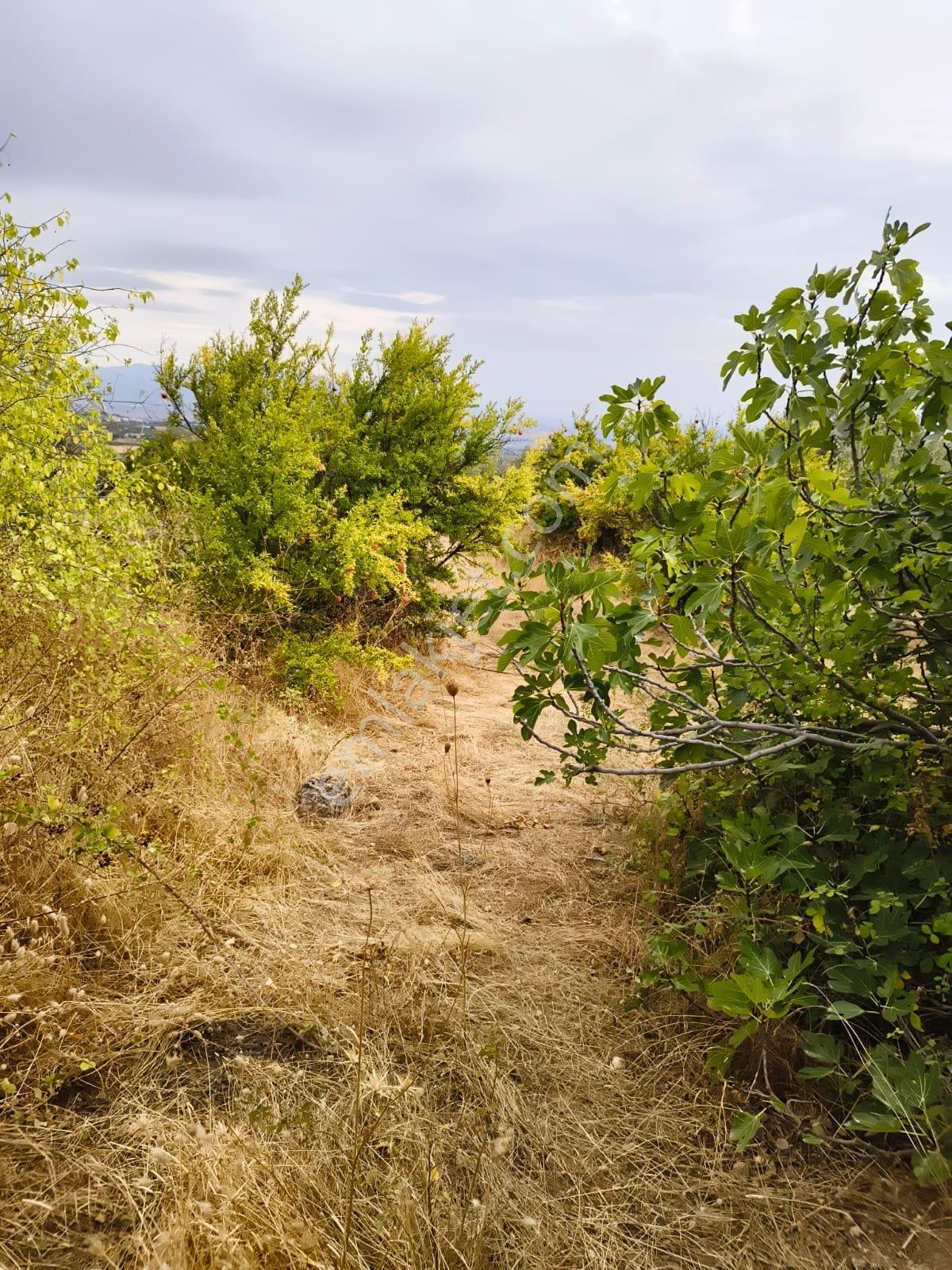 Manisa Şehzadeler Sancaklı Bozköyde Kaçırılmayacak Fırsat! — fotoğraf 12