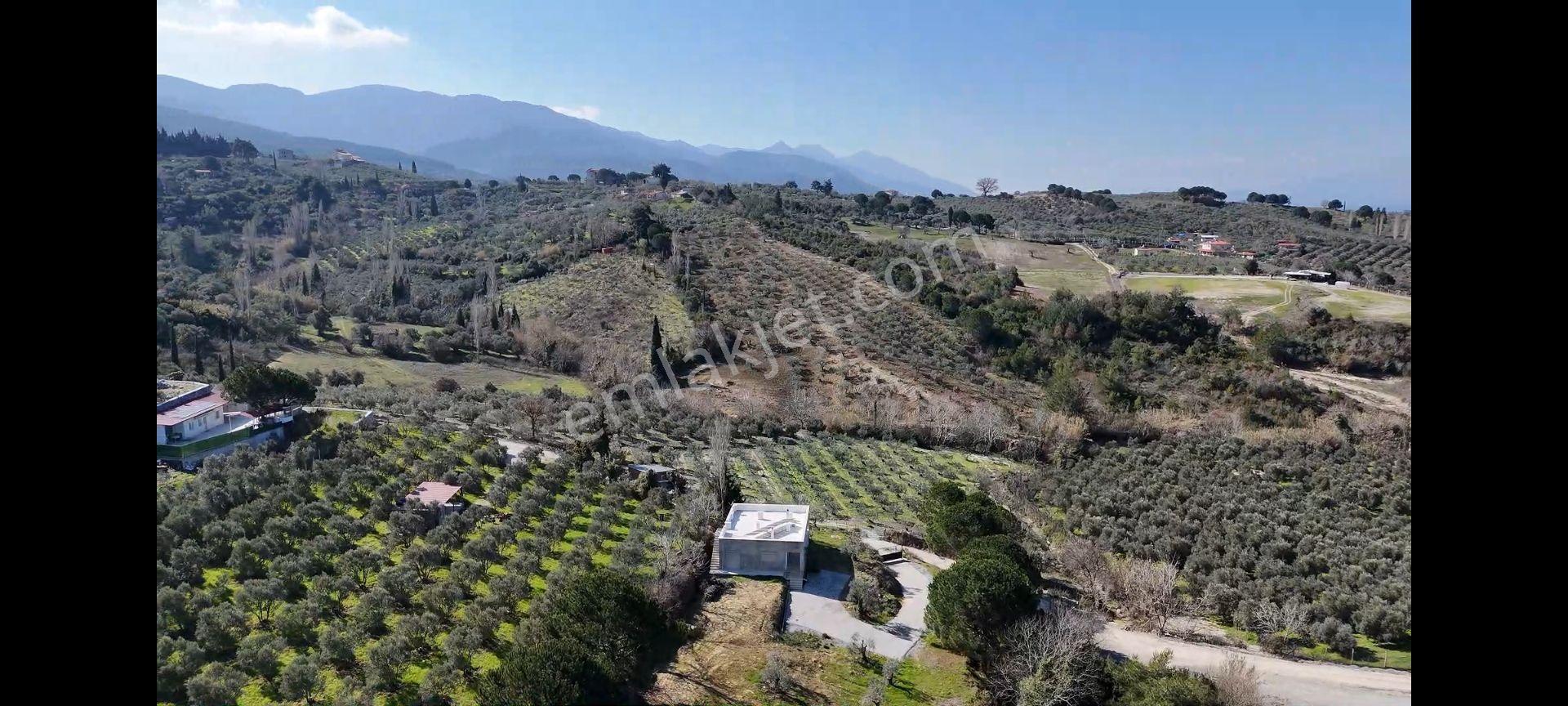 Söke Ağaçlı Köyünde Full Deniz Manzaralı Satılık 500 M2 2 Kat Villa İmarlı Arsa — fotoğraf 4