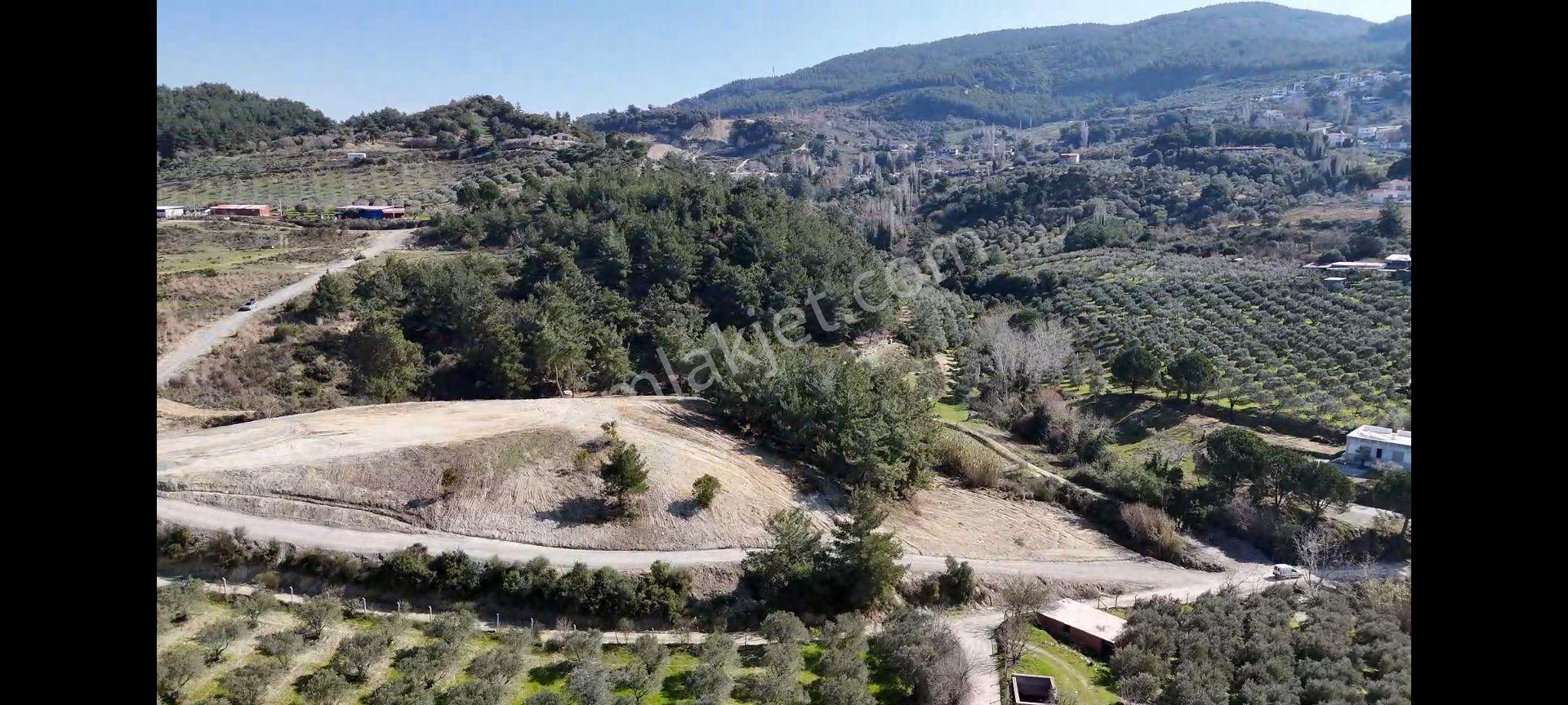 Söke Ağaçlı Köyünde Full Deniz Manzaralı Satılık 500 M2 2 Kat Villa İmarlı Arsa — fotoğraf 5