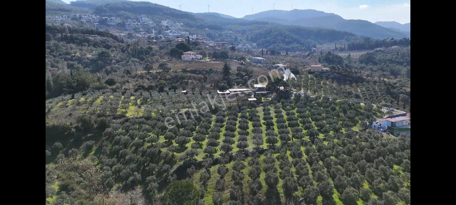 Söke Ağaçlı Köyünde Full Deniz Manzaralı Satılık 500 M2 2 Kat Villa İmarlı Arsa — fotoğraf 9