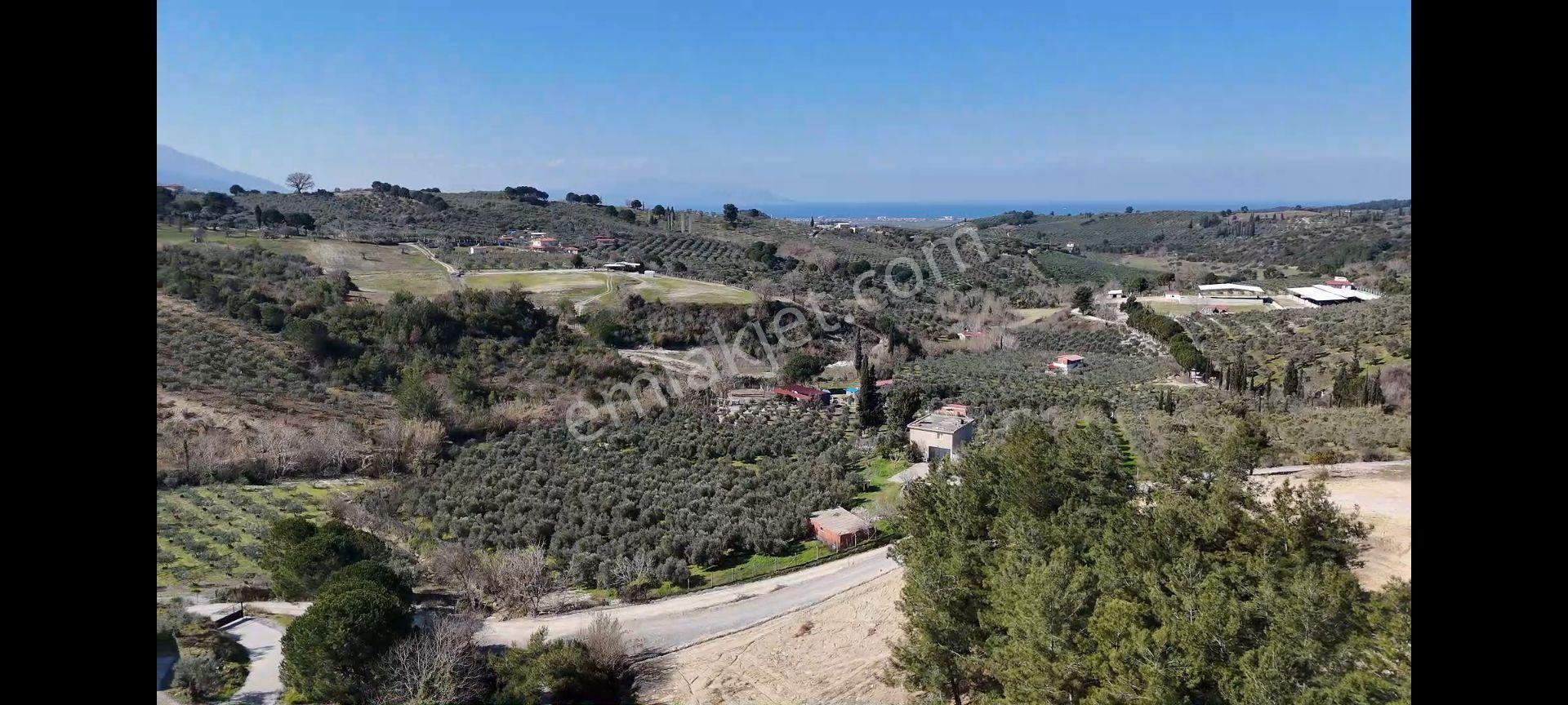 Söke Ağaçlı Köyünde Full Deniz Manzaralı Satılık 500 M2 2 Kat Villa İmarlı Arsa — fotoğraf 11