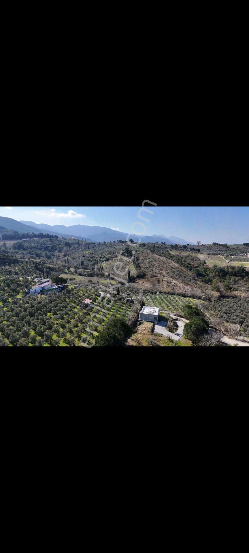 Söke Ağaçlı Köyünde Full Deniz Manzaralı Satılık 500 M2 2 Kat Villa İmarlı Arsa — fotoğraf 14