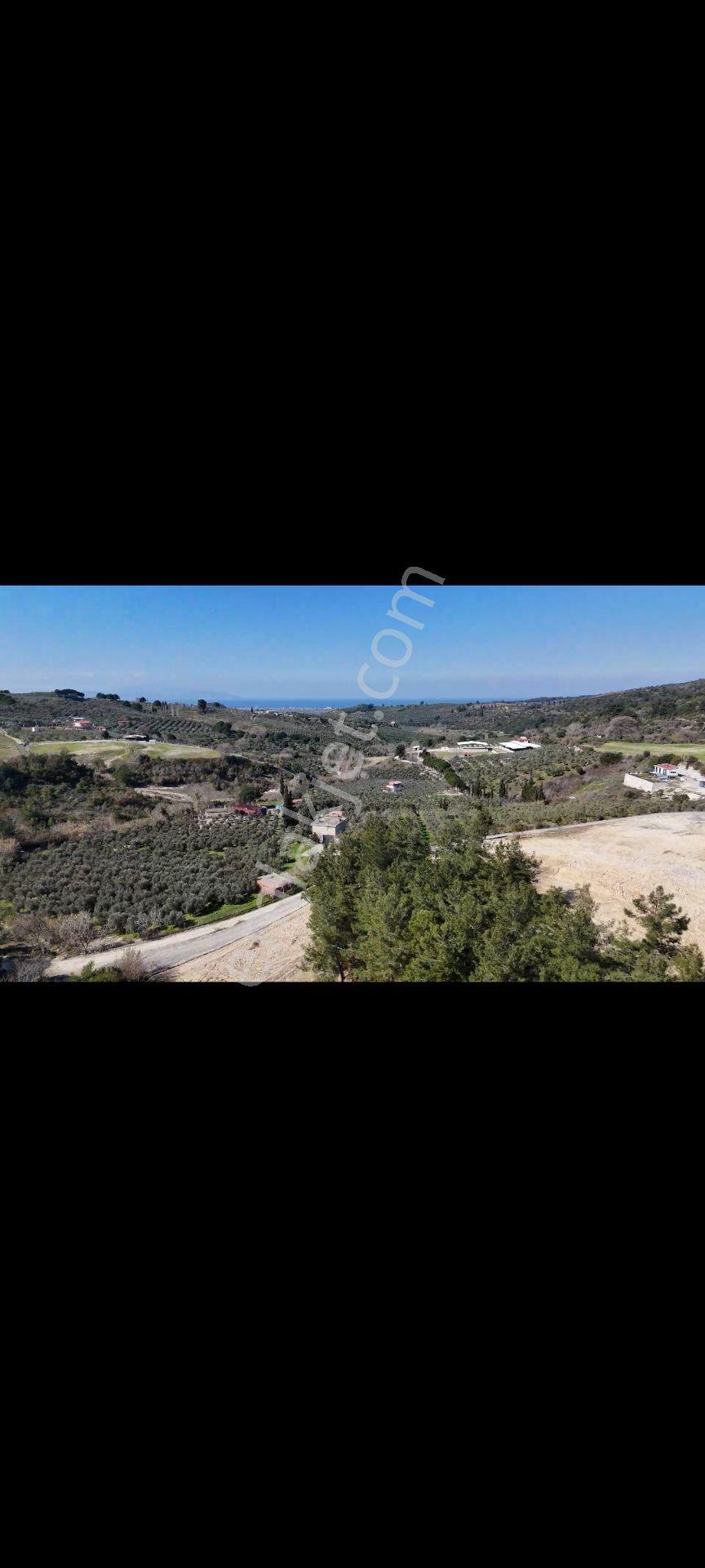 Söke Ağaçlı Köyünde Full Deniz Manzaralı Satılık 500 M2 2 Kat Villa İmarlı Arsa — fotoğraf 16