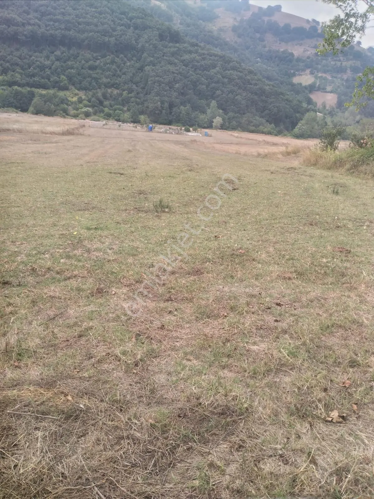 Kocaeli Karamürsel'De 953 M² Yatırımlık Doğayla İç İçe Arsa!!!