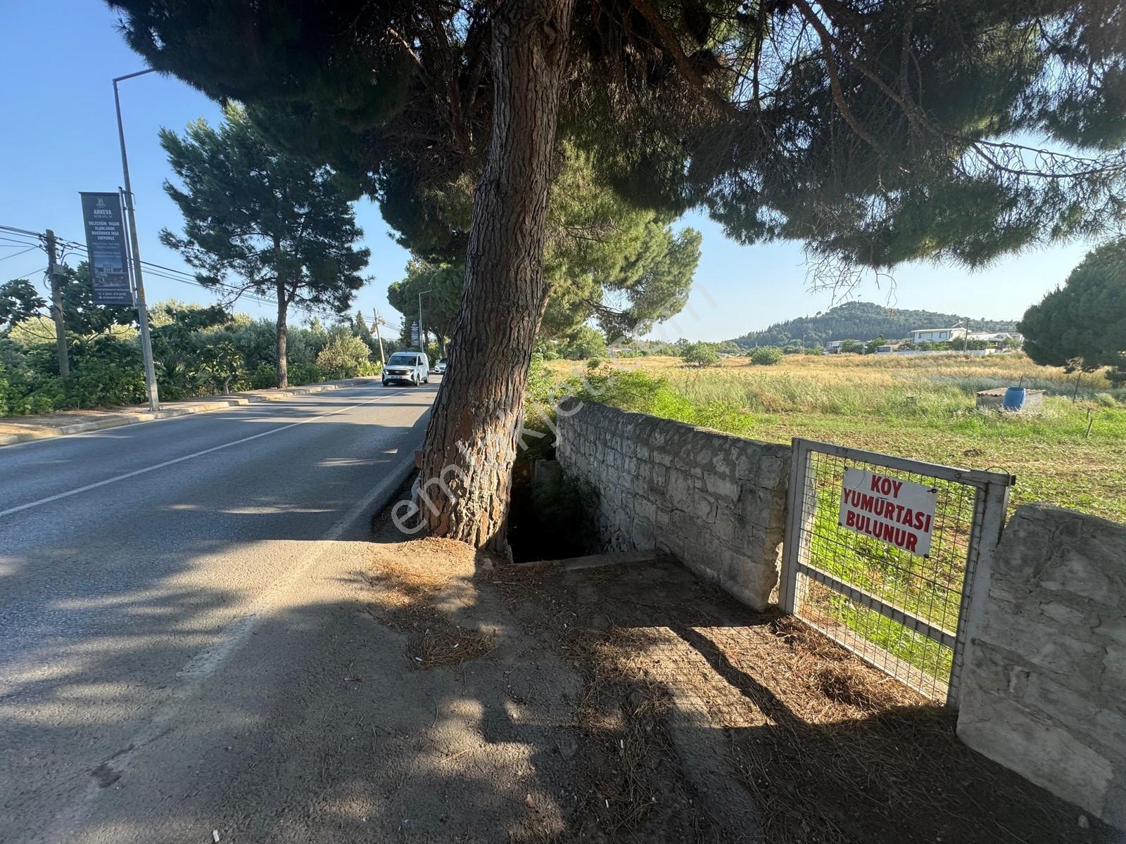 Urla İskele Ağaçlı Yolda Satılık Tarla