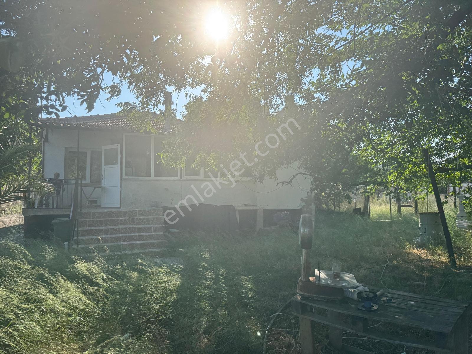 Urla İskele Ağaçlı Yolda Satılık Tarla — fotoğraf 2