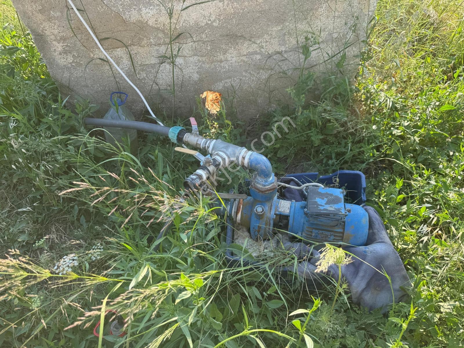 Urla İskele Ağaçlı Yolda Satılık Tarla — fotoğraf 4