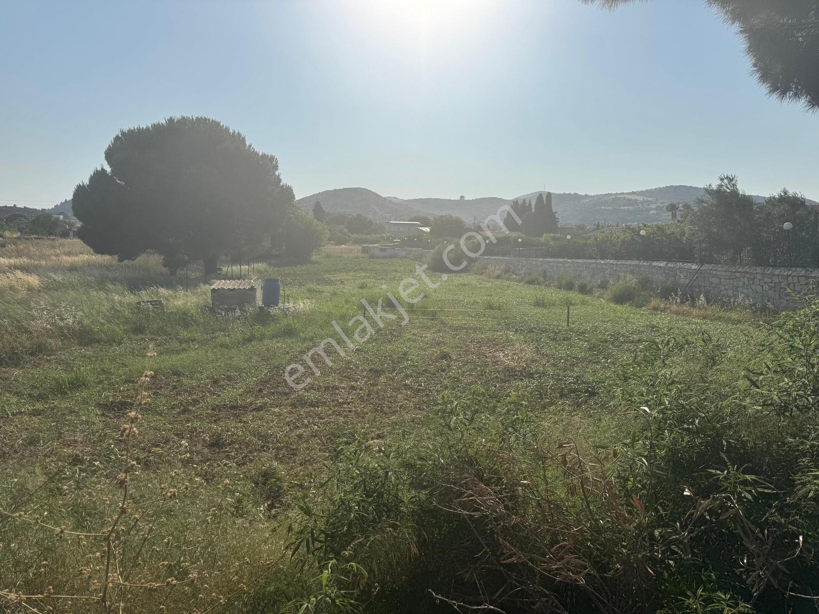 Urla İskele Ağaçlı Yolda Satılık Tarla — fotoğraf 8