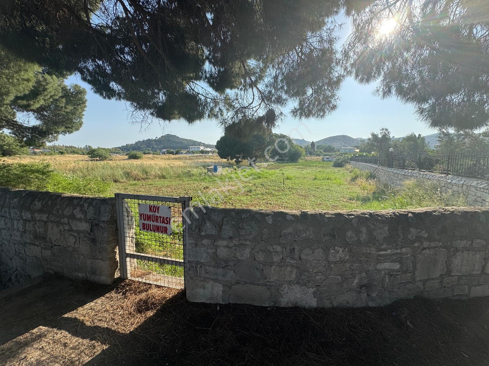Urla İskele Ağaçlı Yolda Satılık Tarla — fotoğraf 9