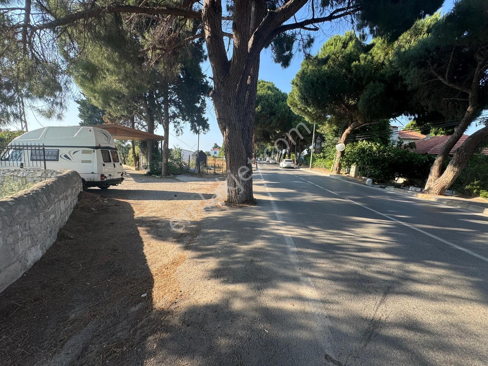 Urla İskele Ağaçlı Yolda Satılık Tarla — fotoğraf 11