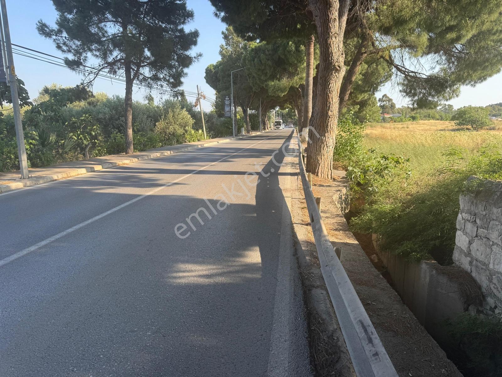 Urla İskele Ağaçlı Yolda Satılık Tarla — fotoğraf 12