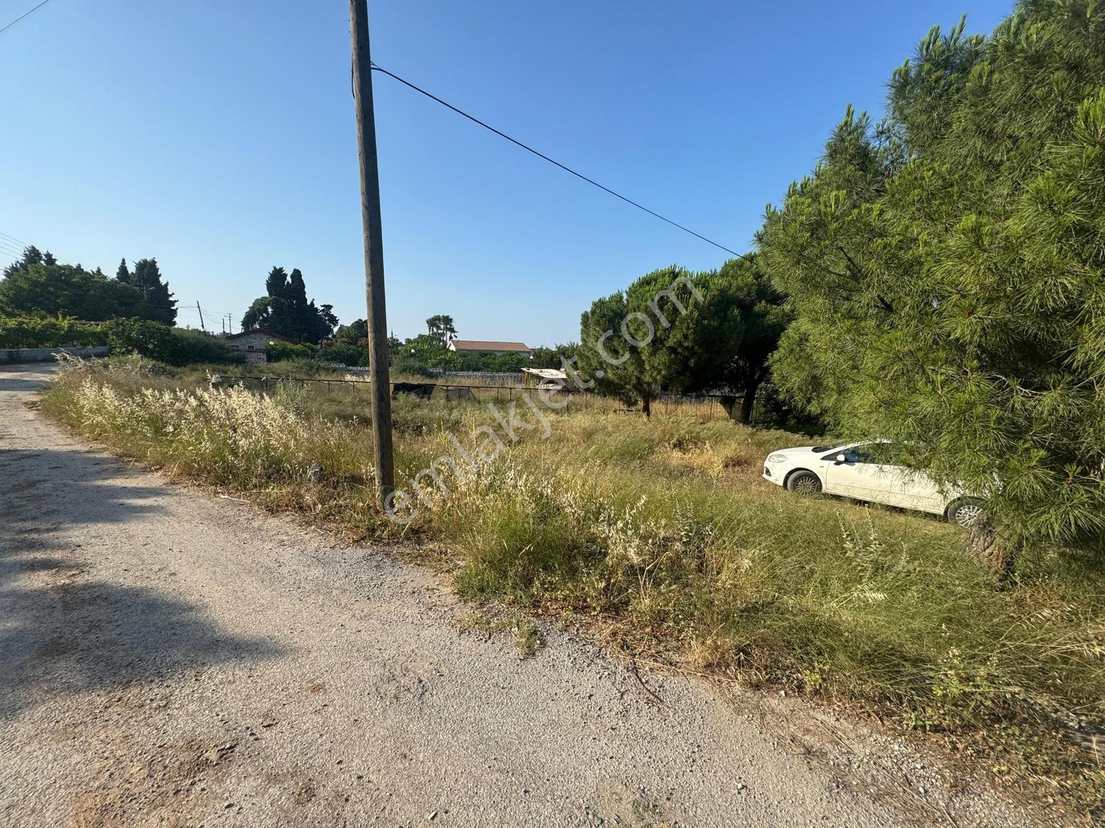 Urla İskele Ağaçlı Yolda Satılık Tarla — fotoğraf 13