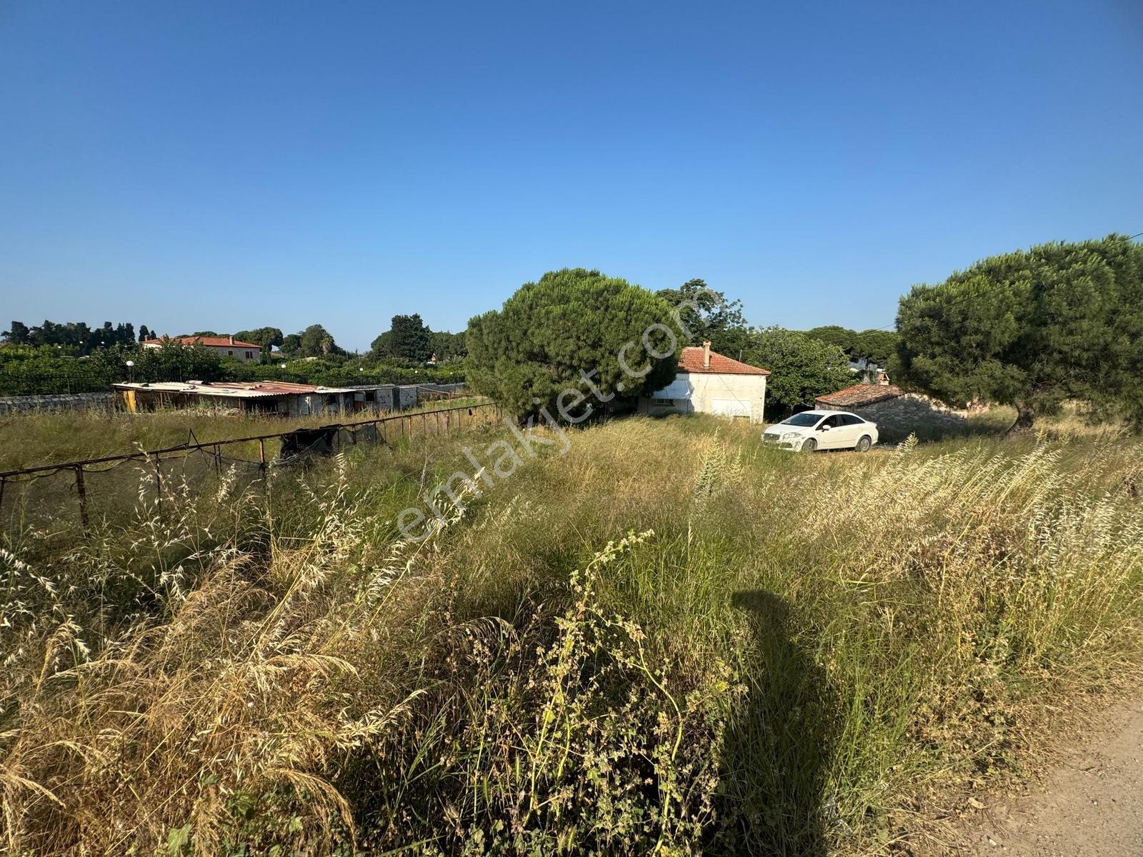 Urla İskele Ağaçlı Yolda Satılık Tarla — fotoğraf 14