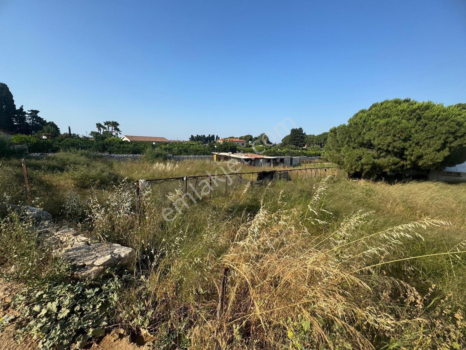 Urla İskele Ağaçlı Yolda Satılık Tarla — fotoğraf 15