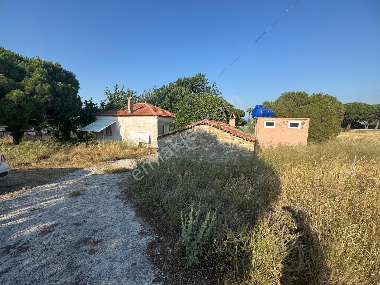 Urla İskele Ağaçlı Yolda Satılık Tarla — fotoğraf 16