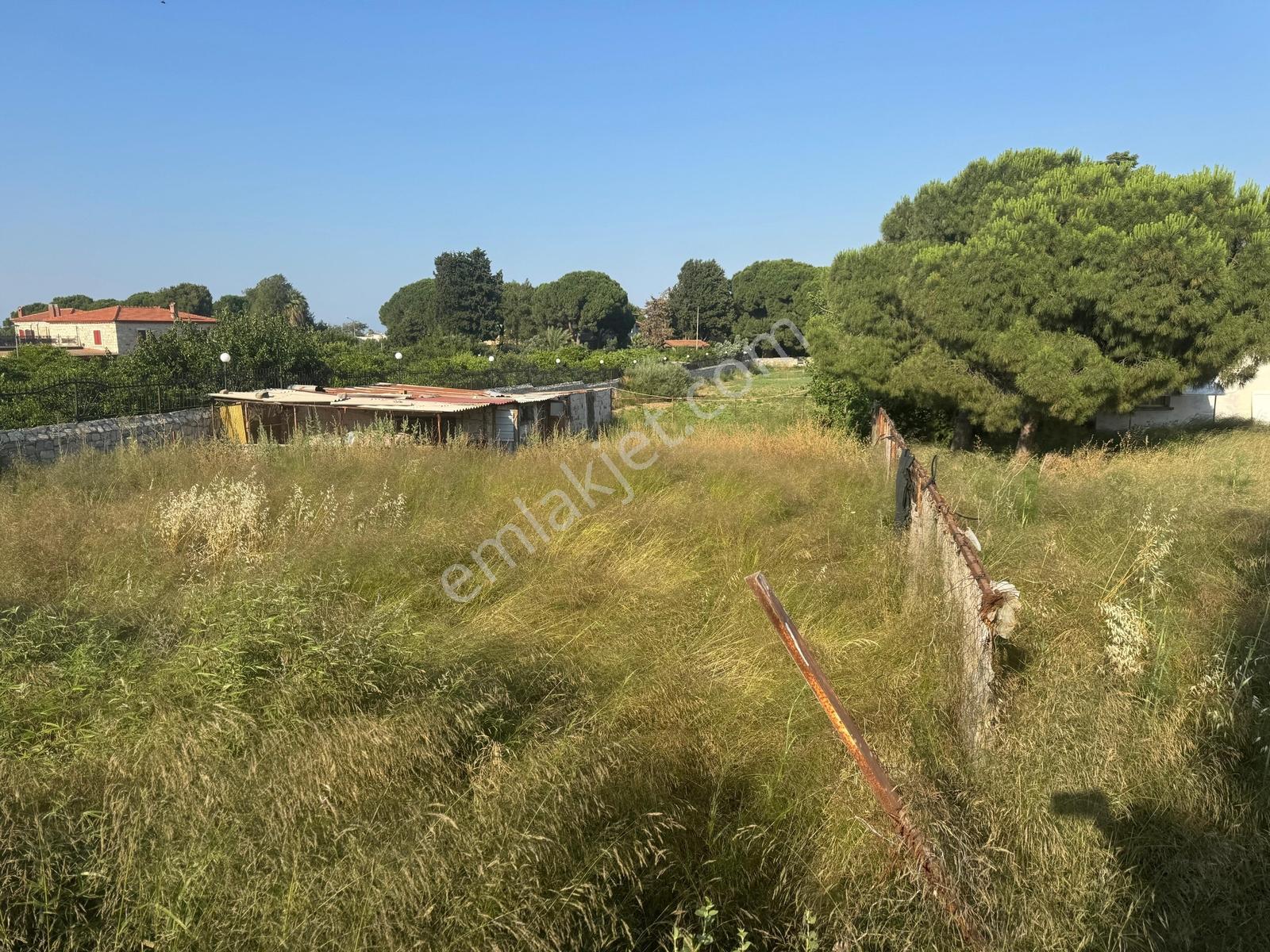 Urla İskele Ağaçlı Yolda Satılık Tarla — fotoğraf 17