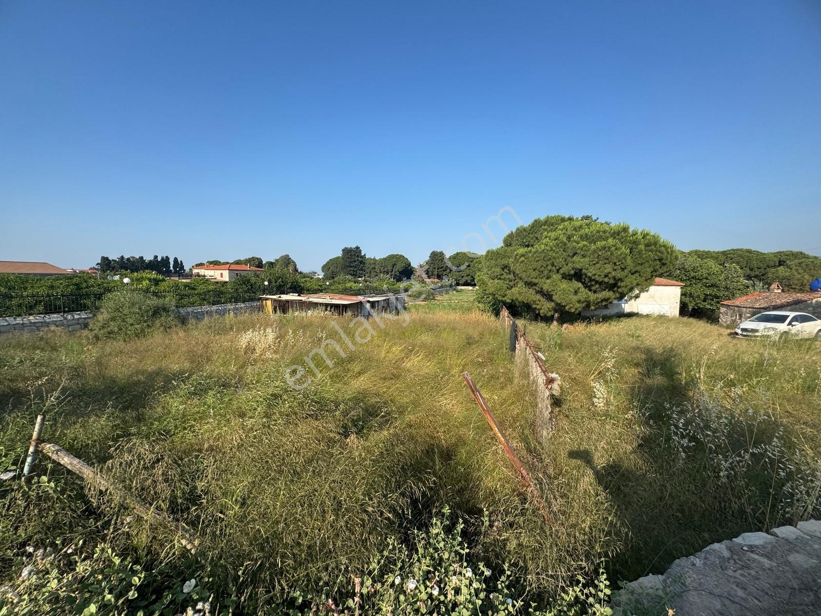 Urla İskele Ağaçlı Yolda Satılık Tarla — fotoğraf 18