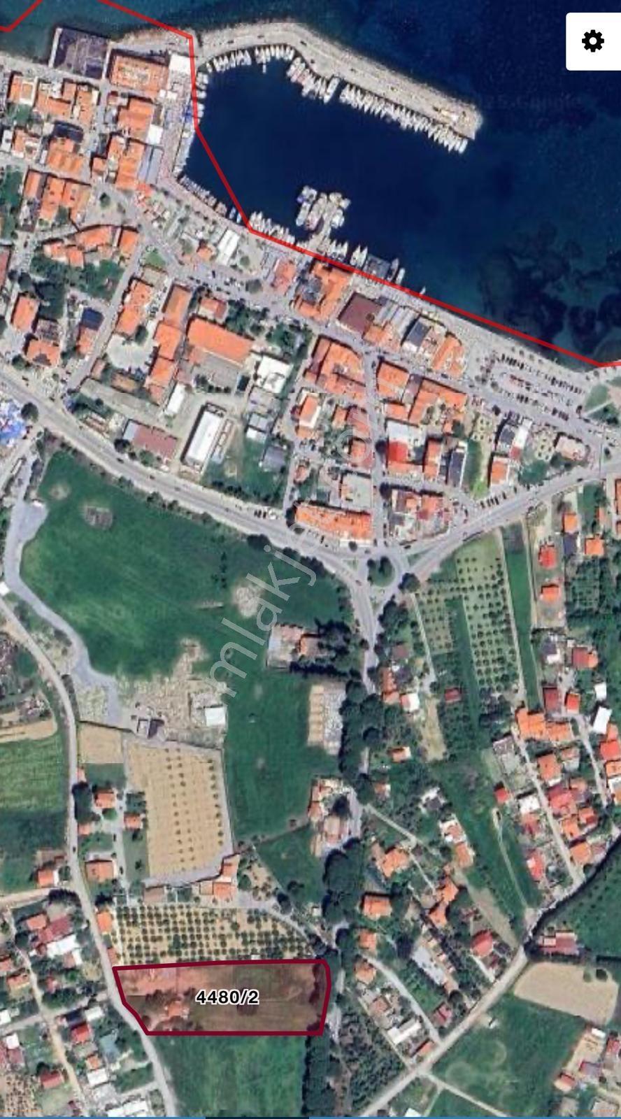 Urla İskele Ağaçlı Yolda Satılık Tarla — fotoğraf 19