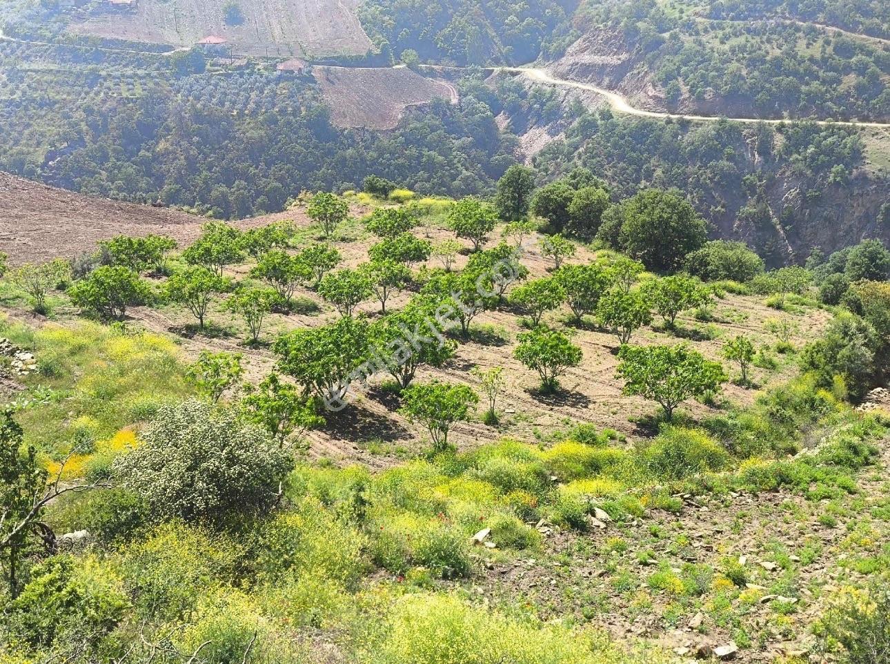 Cankaya Yakupabdalda İmara Komşu, Doğa Manzaralı Satılı Arsa — fotoğraf 20