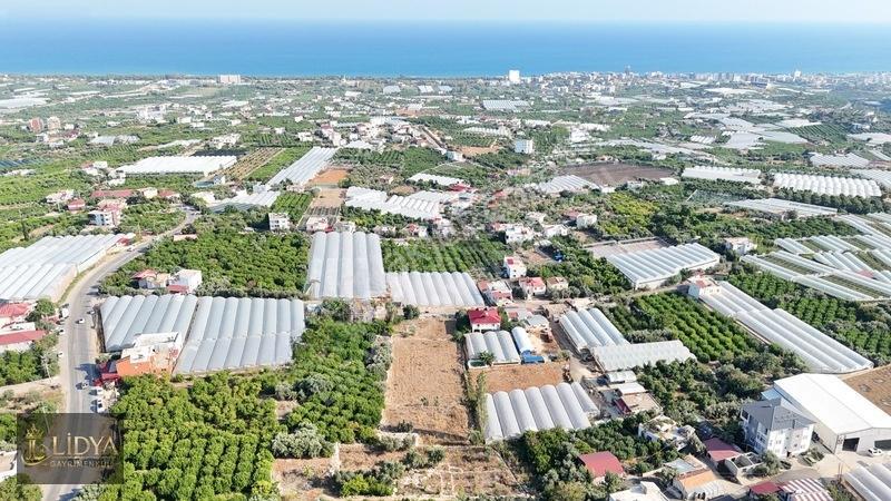 Erdemli Koyuncu 3.040 M2 Müstakil Tapulu Satılık Arsa — fotoğraf 2