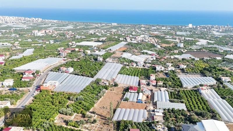 Erdemli Koyuncu 3.040 M2 Müstakil Tapulu Satılık Arsa — fotoğraf 3