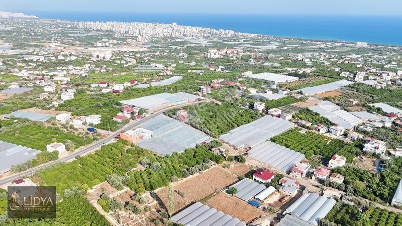 Erdemli Koyuncu 3.040 M2 Müstakil Tapulu Satılık Arsa — fotoğraf 4