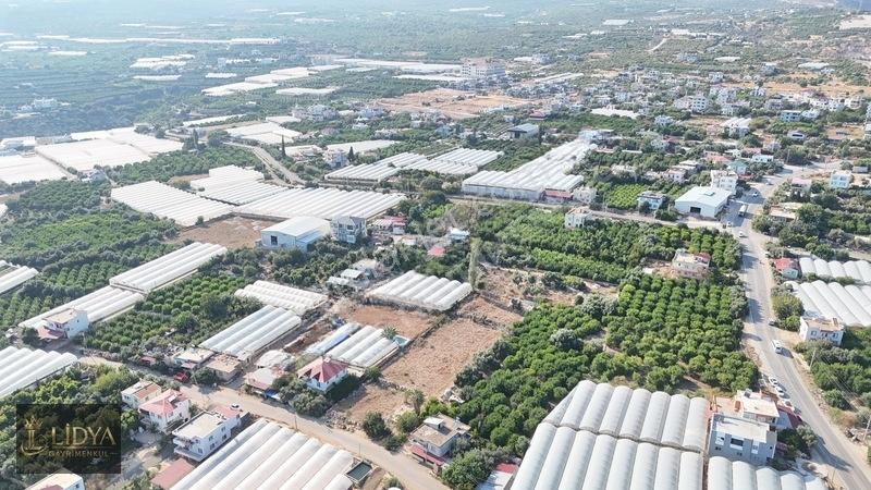 Erdemli Koyuncu 3.040 M2 Müstakil Tapulu Satılık Arsa — fotoğraf 7
