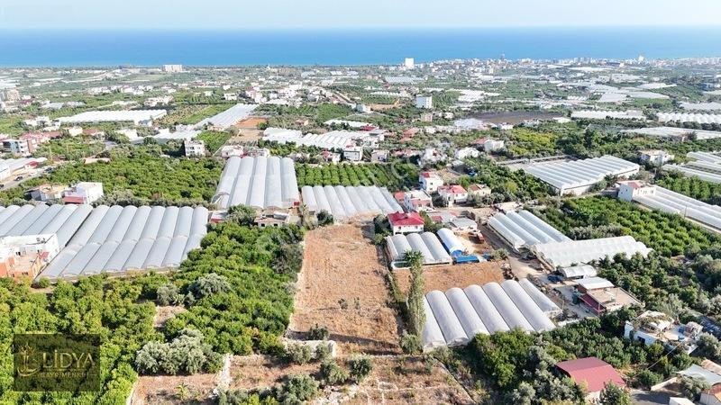 Erdemli Koyuncu 3.040 M2 Müstakil Tapulu Satılık Arsa — fotoğraf 10
