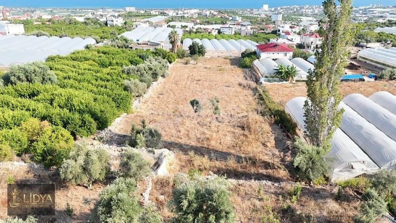 Erdemli Koyuncu 3.040 M2 Müstakil Tapulu Satılık Arsa — fotoğraf 11