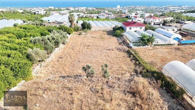 Erdemli Koyuncu 3.040 M2 Müstakil Tapulu Satılık Arsa — fotoğraf 12