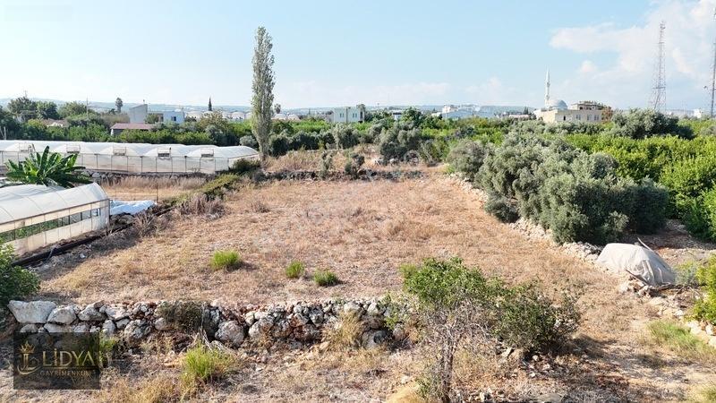 Erdemli Koyuncu 3.040 M2 Müstakil Tapulu Satılık Arsa — fotoğraf 13