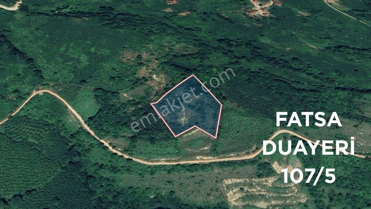 Fatsa Duayeri'nde Yatırım Değerine Sahip Parseller — fotoğraf 9