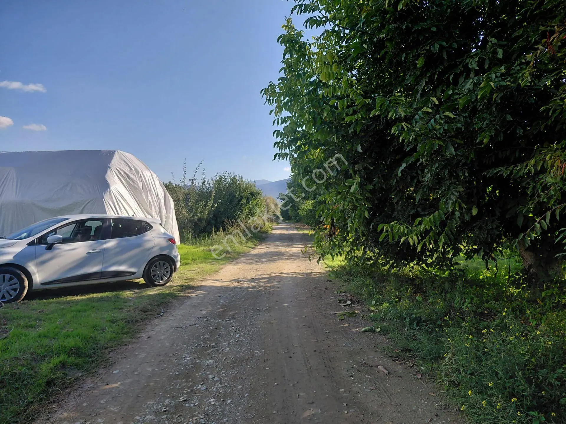 Akşehir Sorkun'da Satılık 8500 M² Meyve Bahçesi — fotoğraf 4