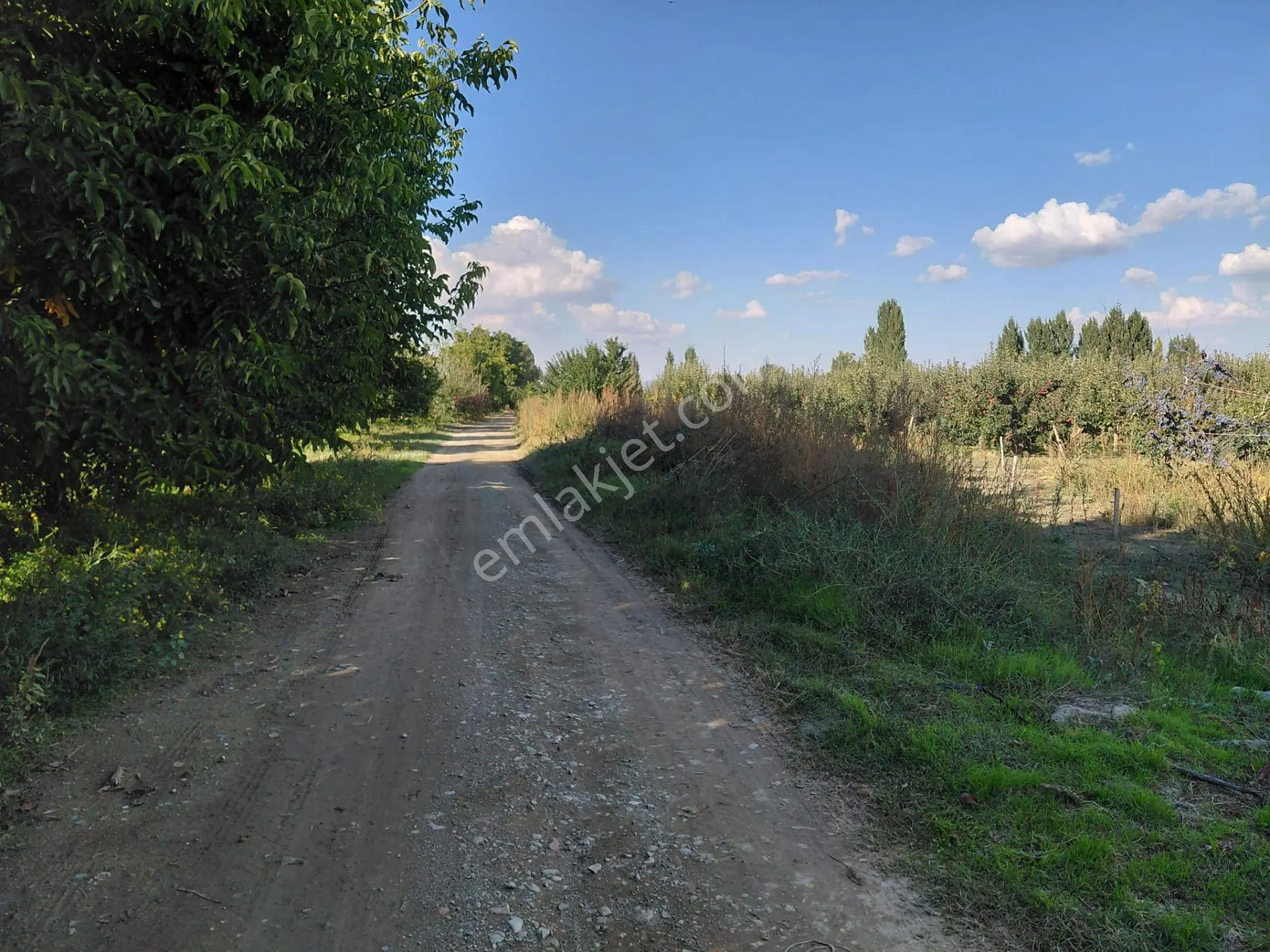 Akşehir Sorkun'da Satılık 8500 M² Meyve Bahçesi — fotoğraf 7