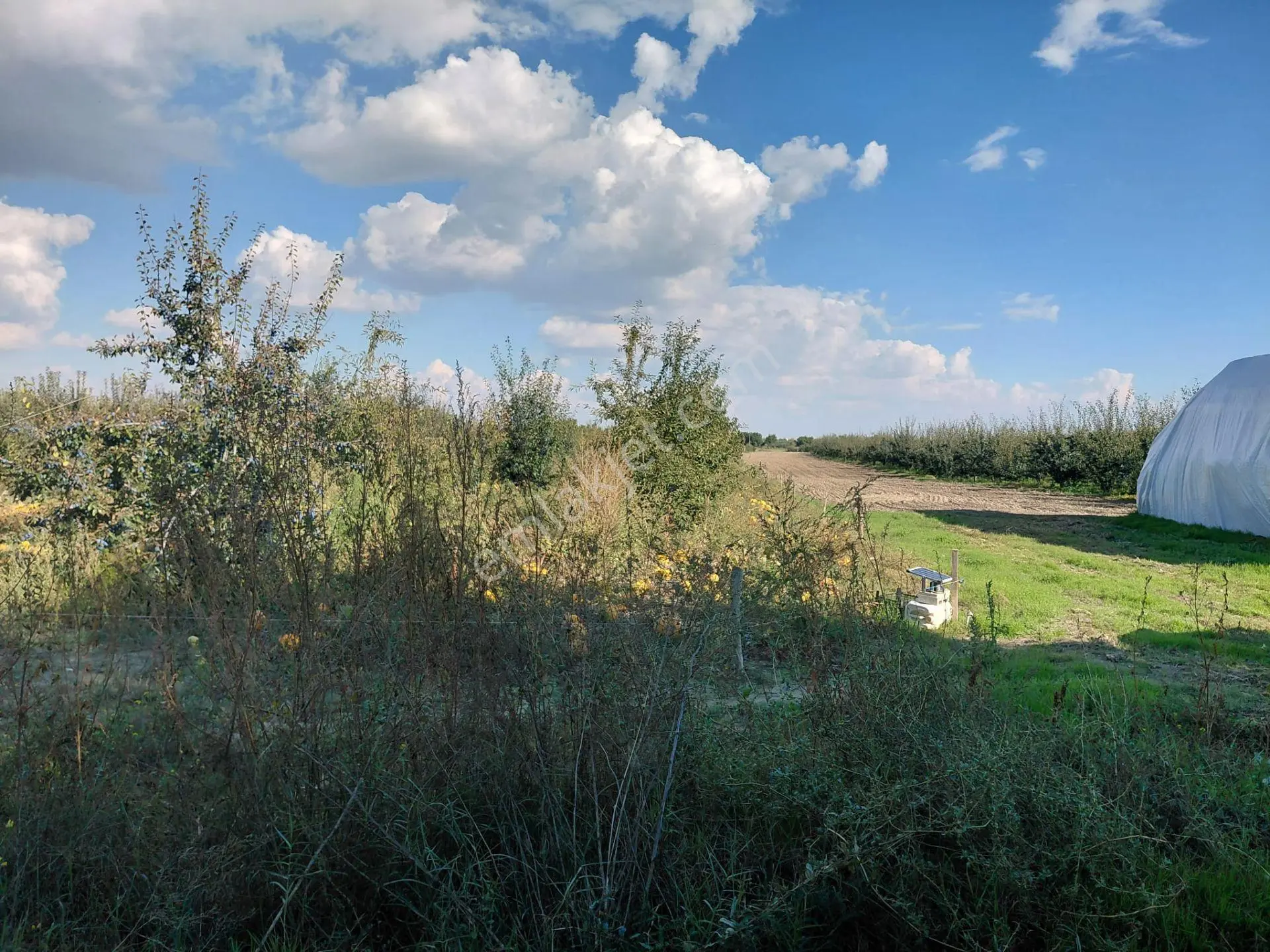 Akşehir Sorkun'da Satılık 8500 M² Meyve Bahçesi — fotoğraf 20