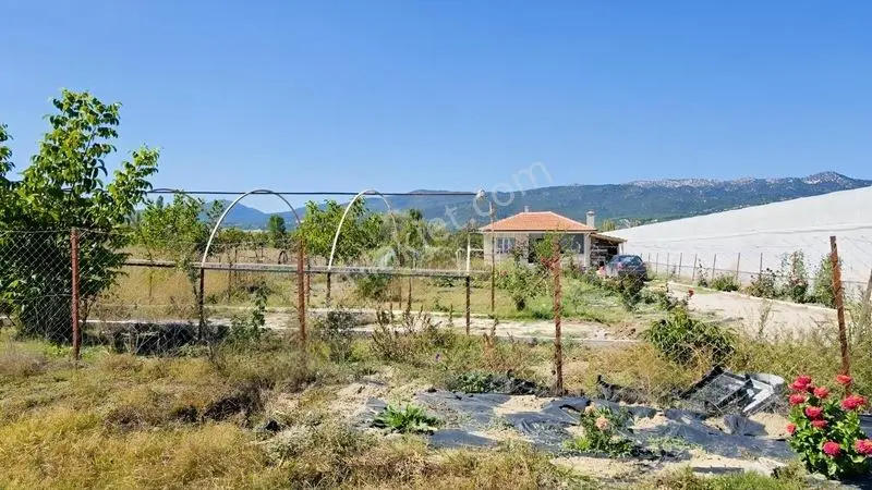 Gölhisar Gmyo Arkasında 1160 M² Tarla İçinde 1+1Full Hazır Bahçe