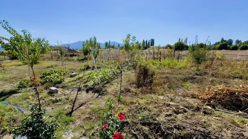 Gölhisar Gmyo Arkasında 1160 M² Tarla İçinde 1+1full Hazır Bahçe — fotoğraf 7